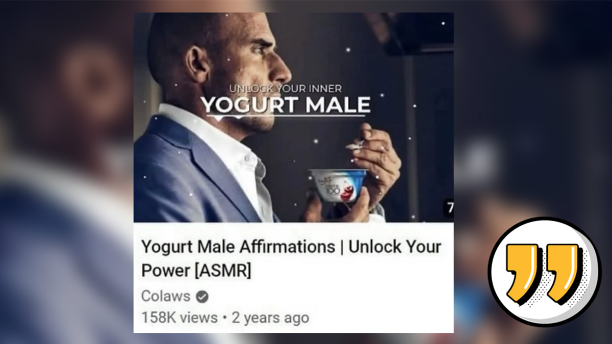 Cheezburger tweet media