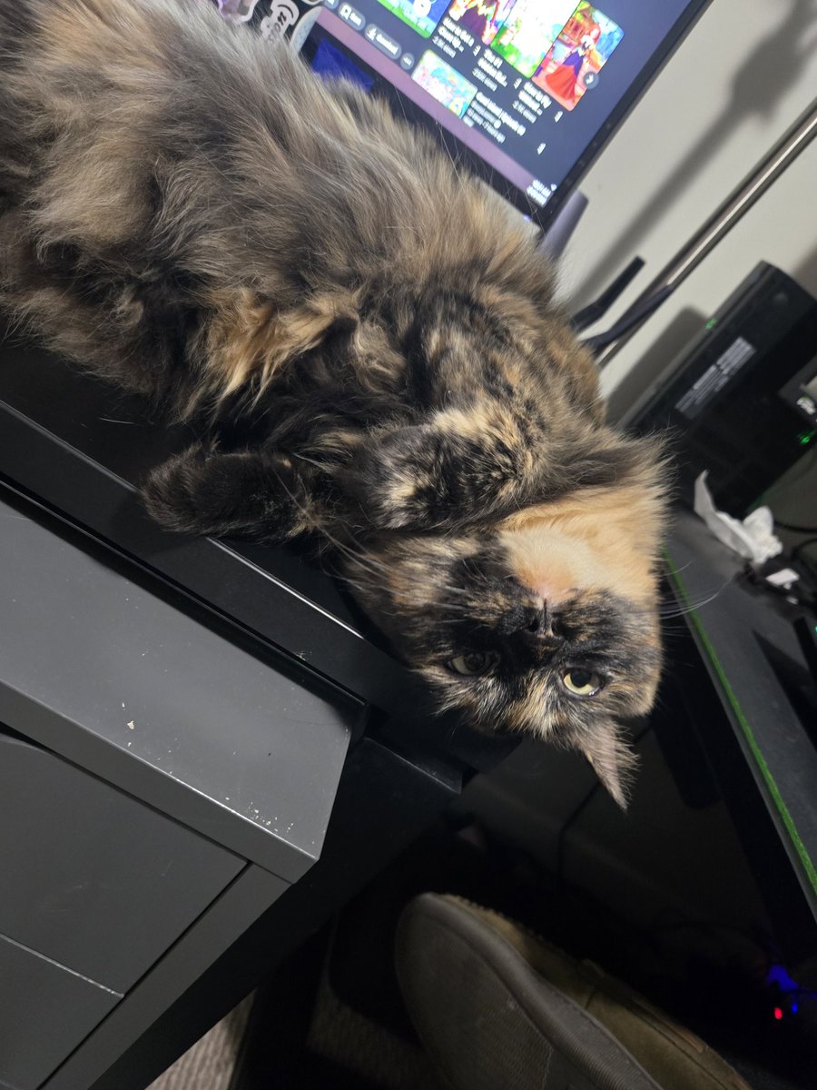 kira 🌼 tweet media