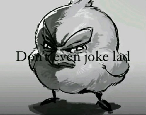 🐈 the garf tweet media