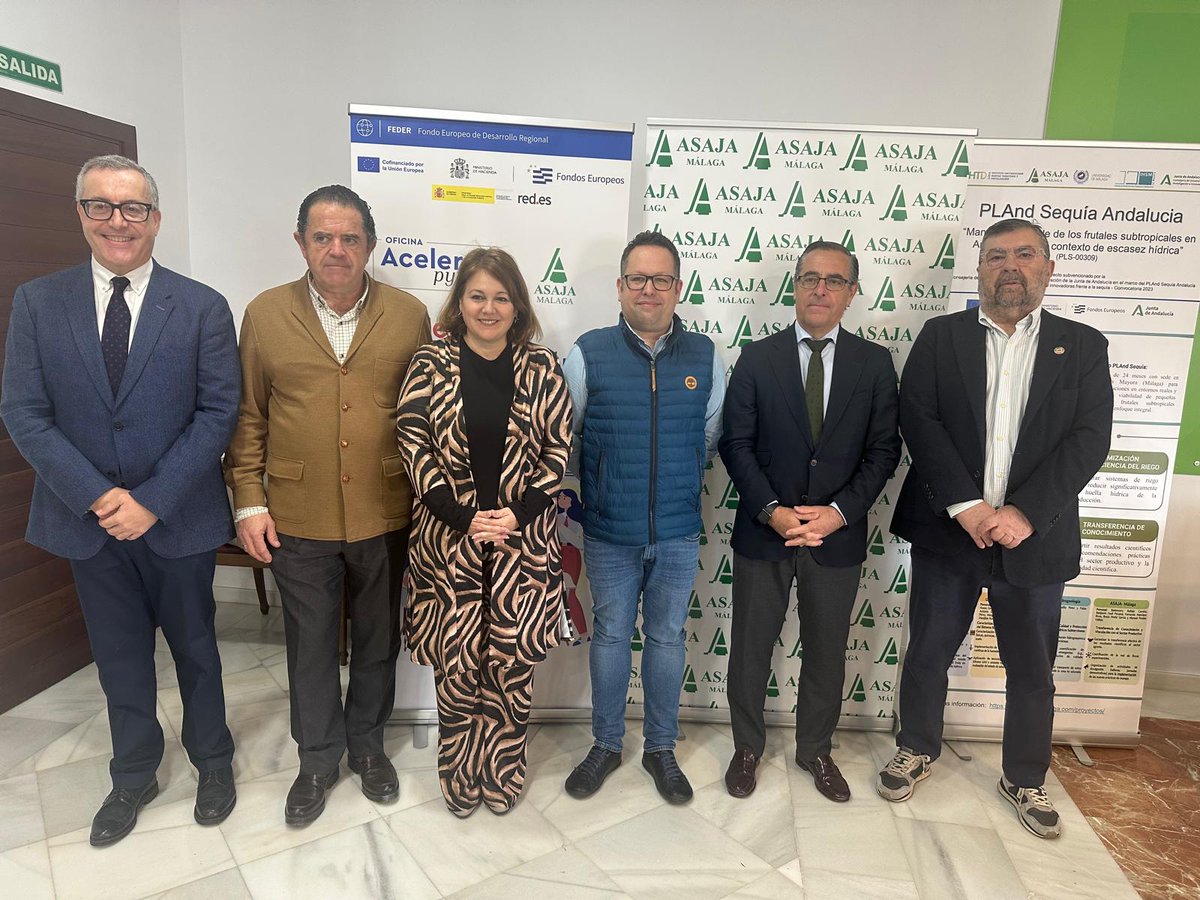 IHSM La Mayora tweet media