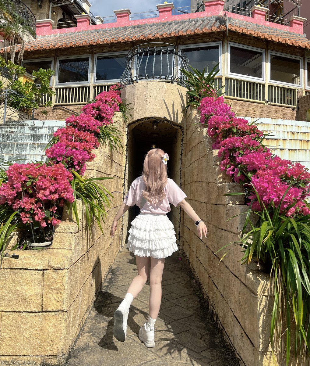 ぴぴ🐑💤めいどりーみん tweet media