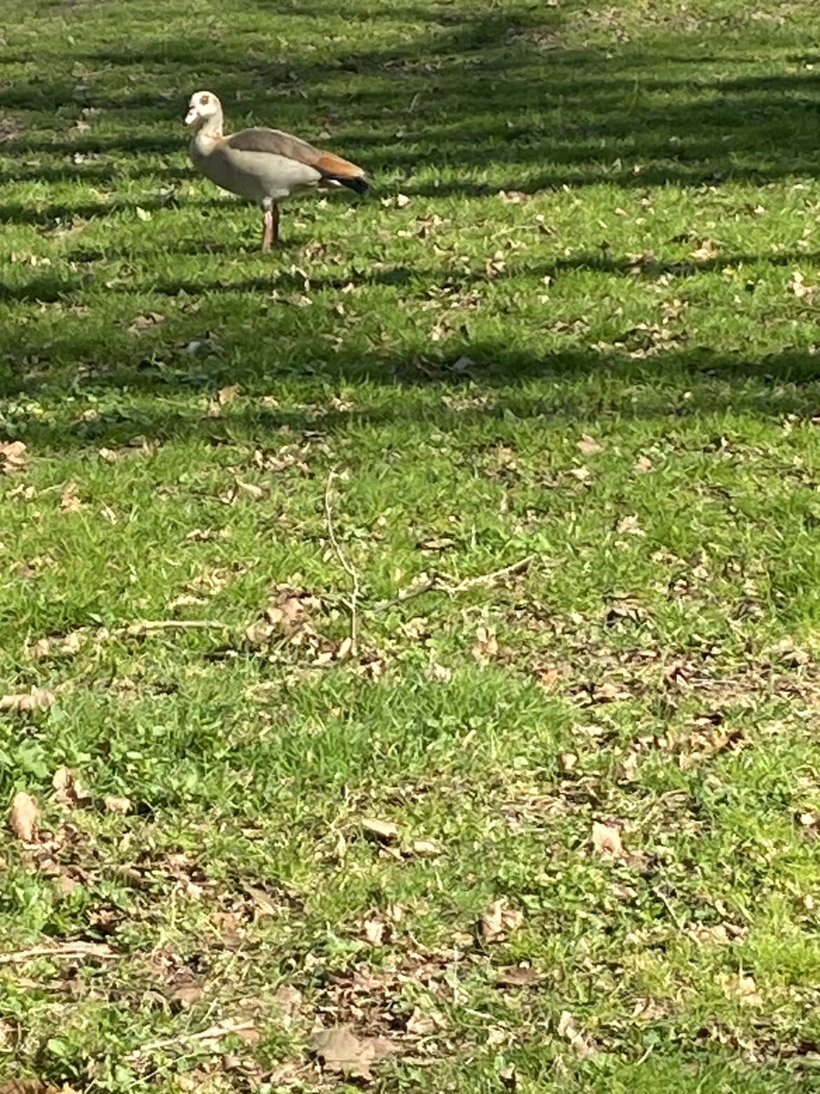 Gabi A. 🦄 🐸 tweet media