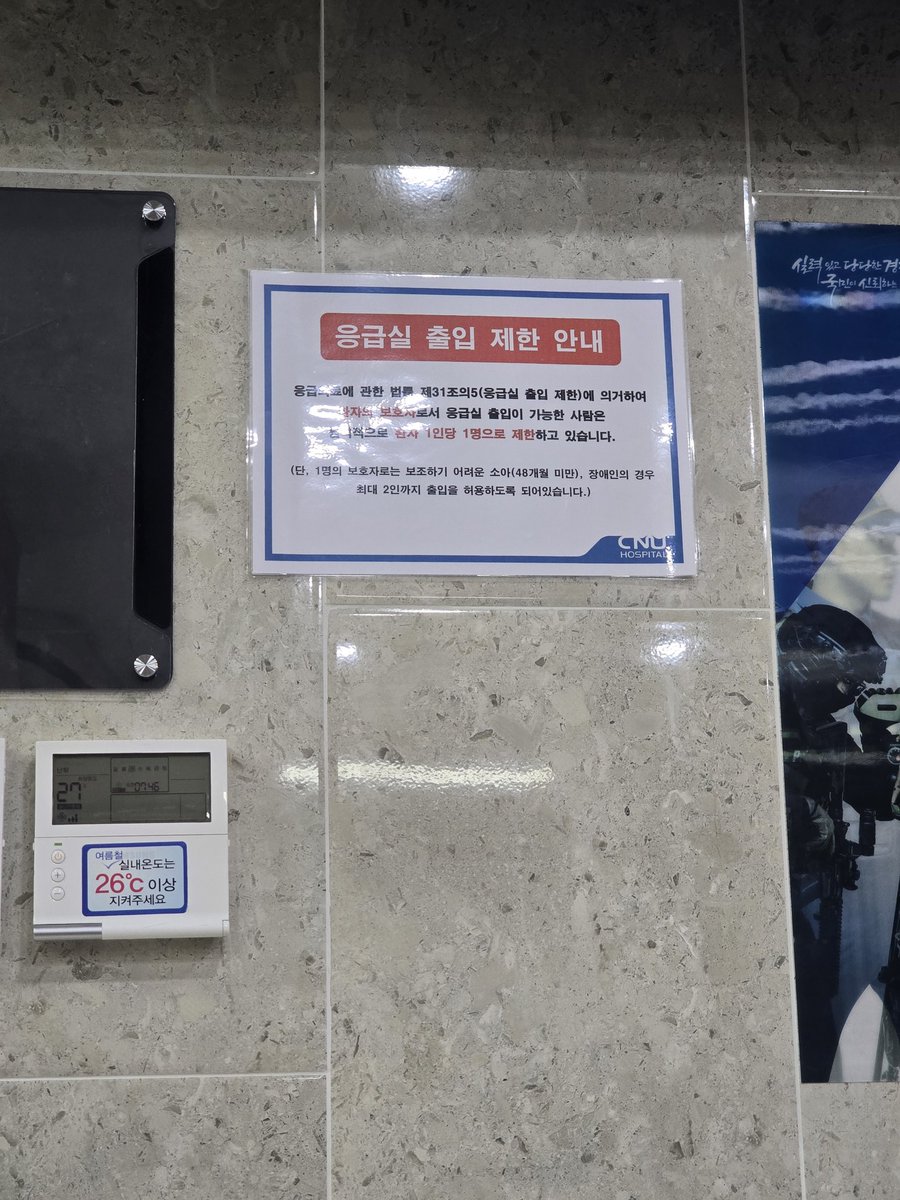 라텔📷 tweet media