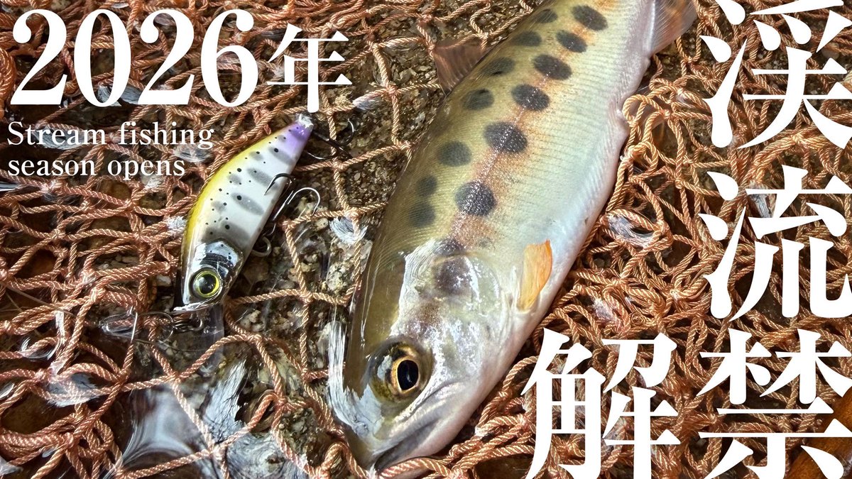 yk039's tweet photo. 渓流解禁動画！

https://t.co/MuNpkg61Y6

#渓流 
#山女魚 https://t.co/wXeqMzSPWe