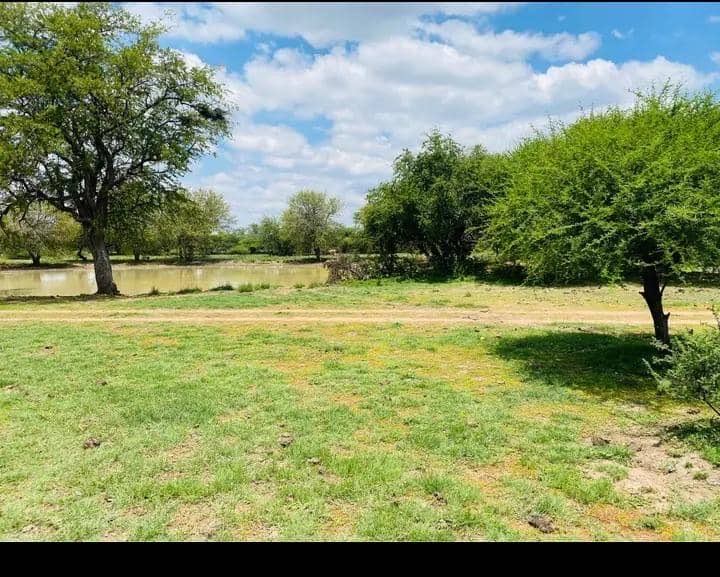 Daniella Selolwane tweet media