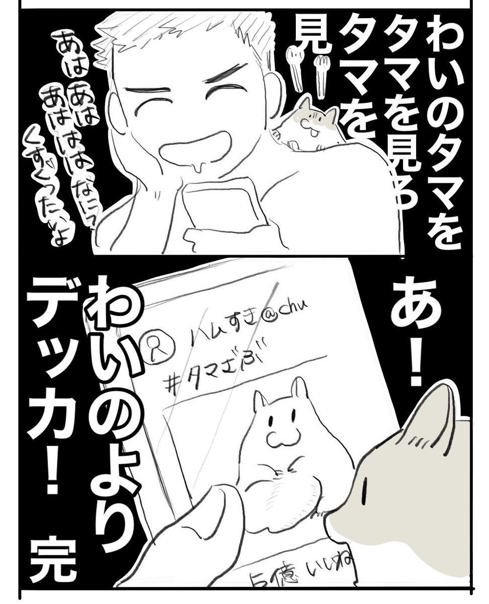 うみー tweet media