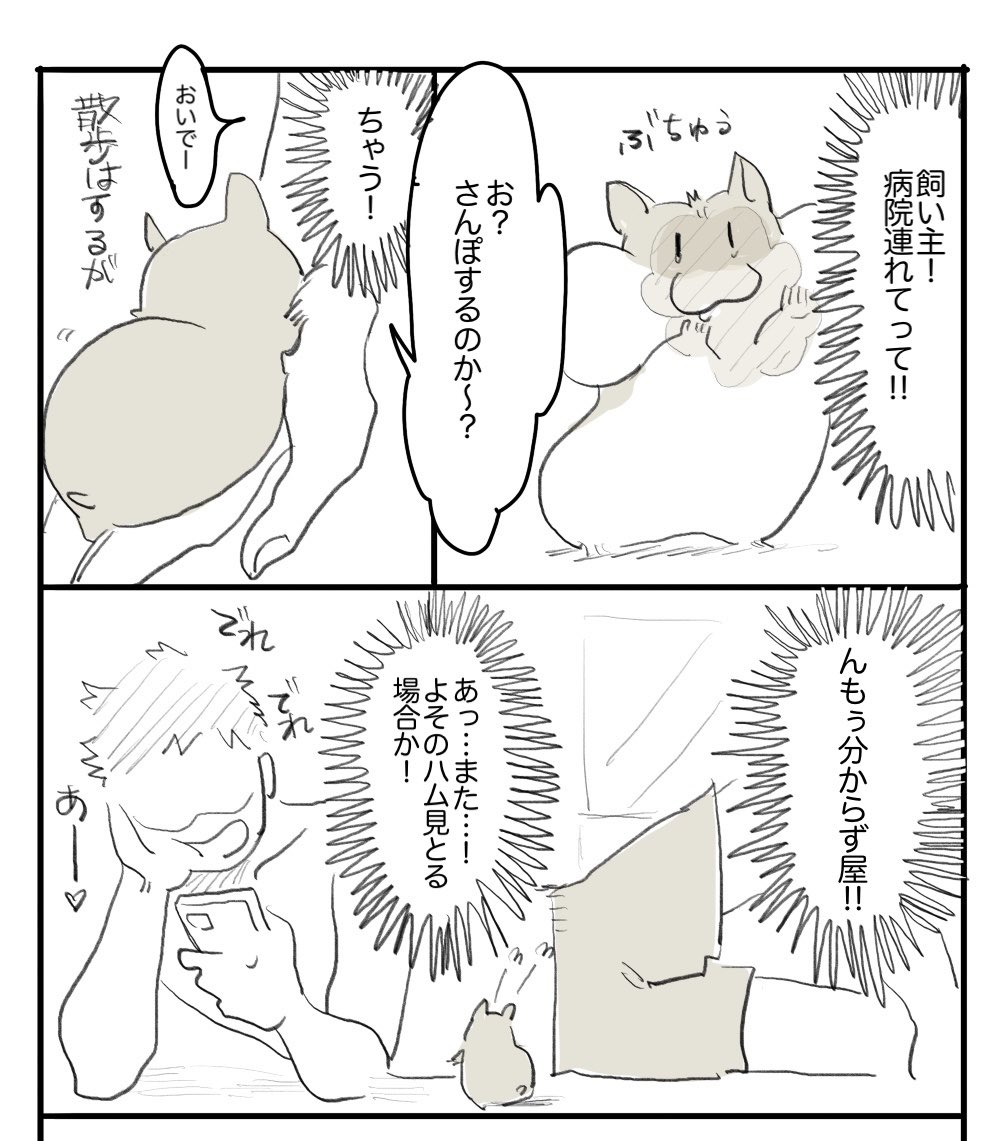 うみー tweet media