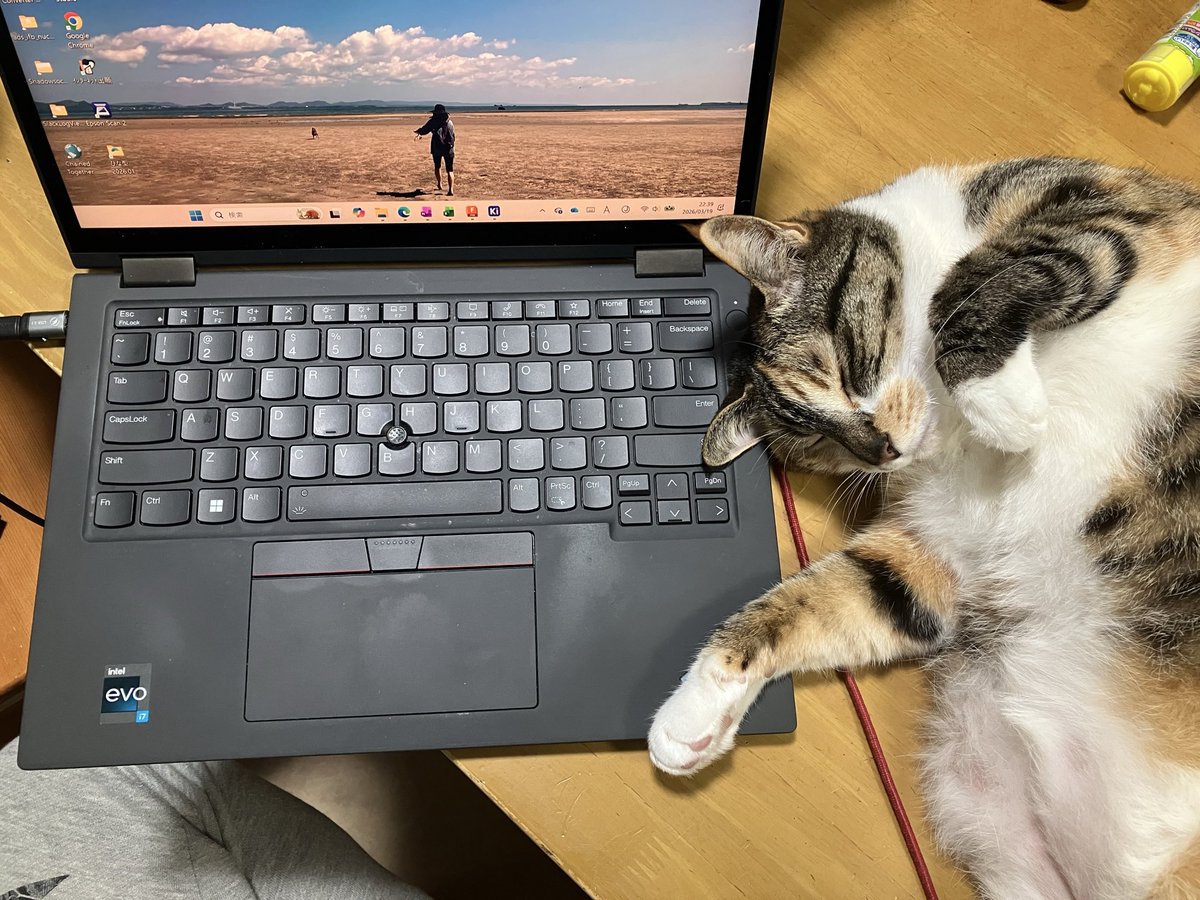 Saoto🇺🇦 tweet media