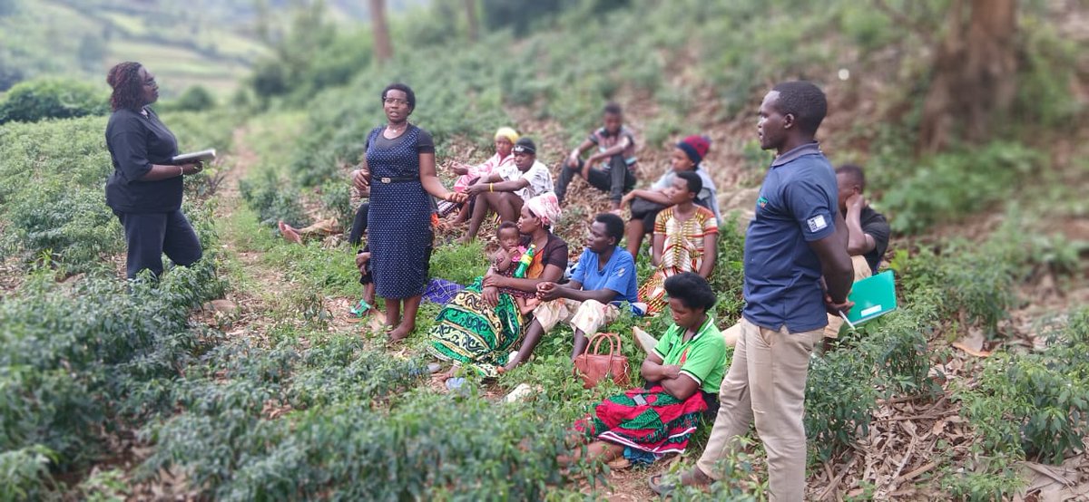 PROFEMMES TWESEHAMWE tweet media