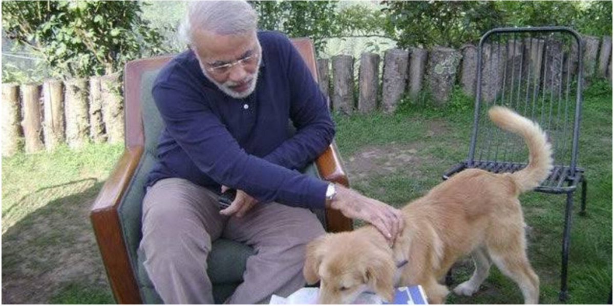 Bad Baaz tweet media