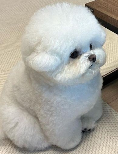 김딸기🍓 tweet media