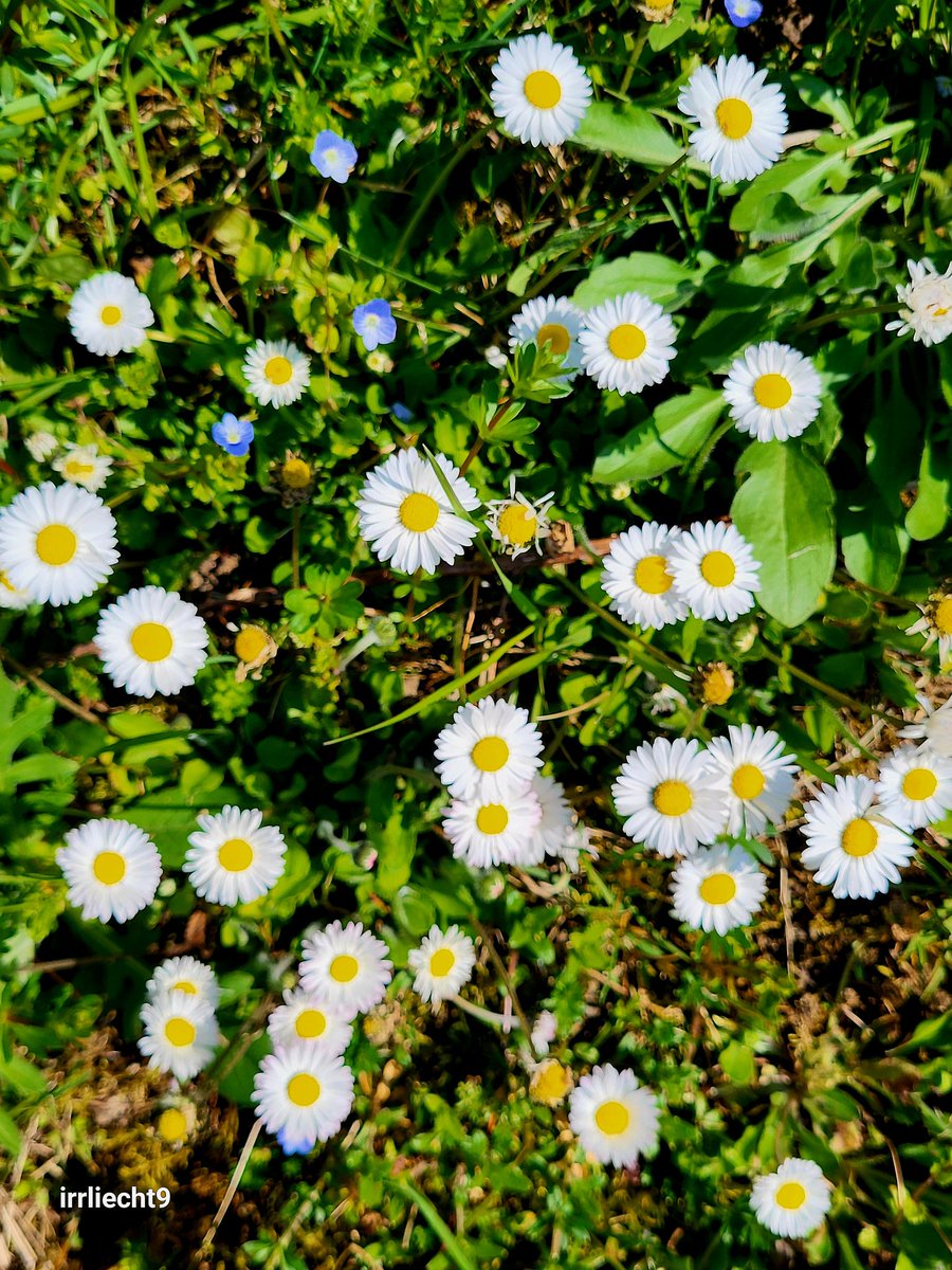 NitramSu tweet media