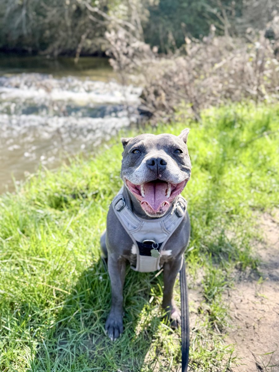 Isa Mary tweet media