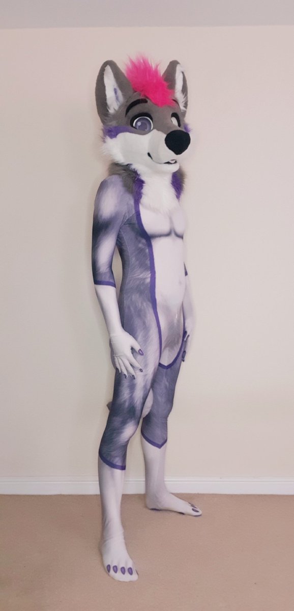 Touka Husky tweet media