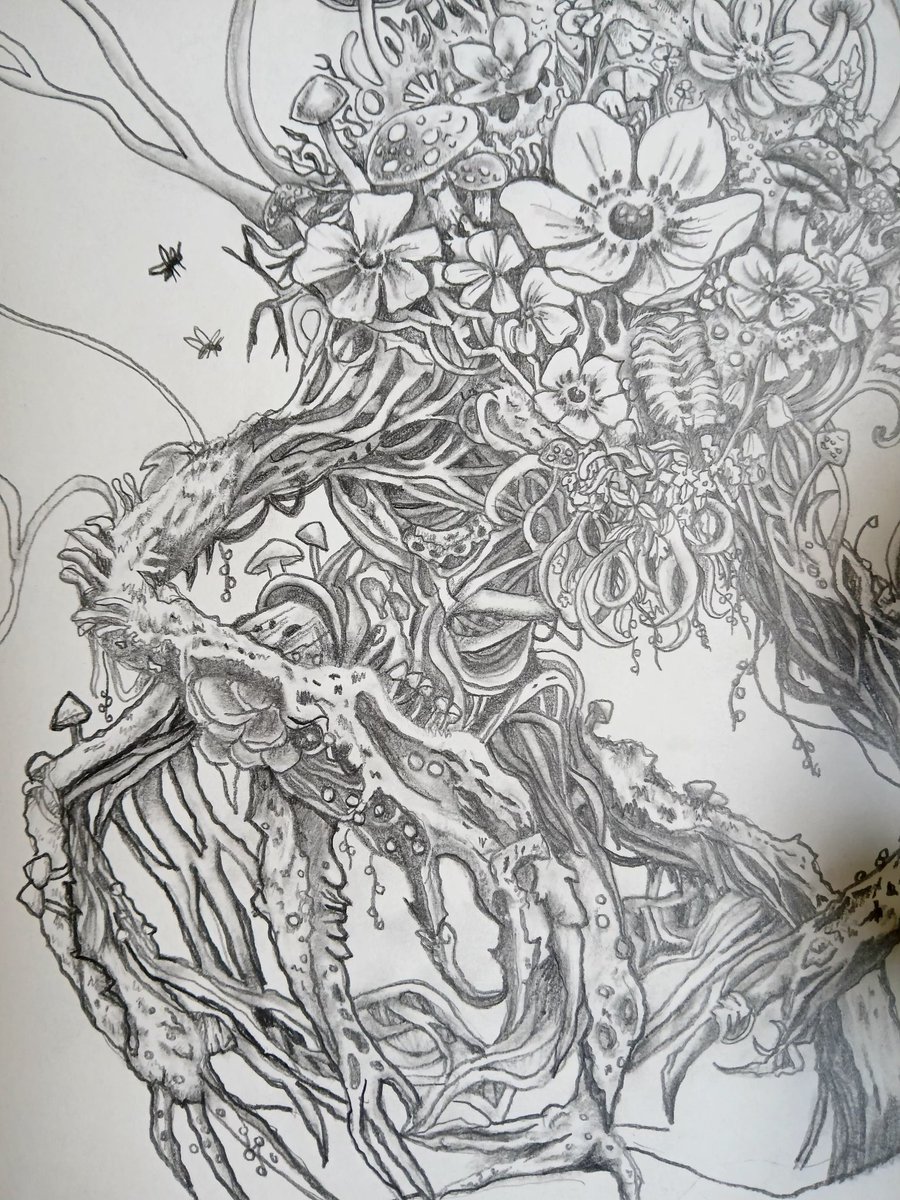 𝑨𝒍𝒑𝒉𝒂 🐇 tweet media