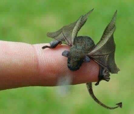 Dai 🏴󠁧󠁢󠁷󠁬󠁳󠁿🇬🇧 tweet media