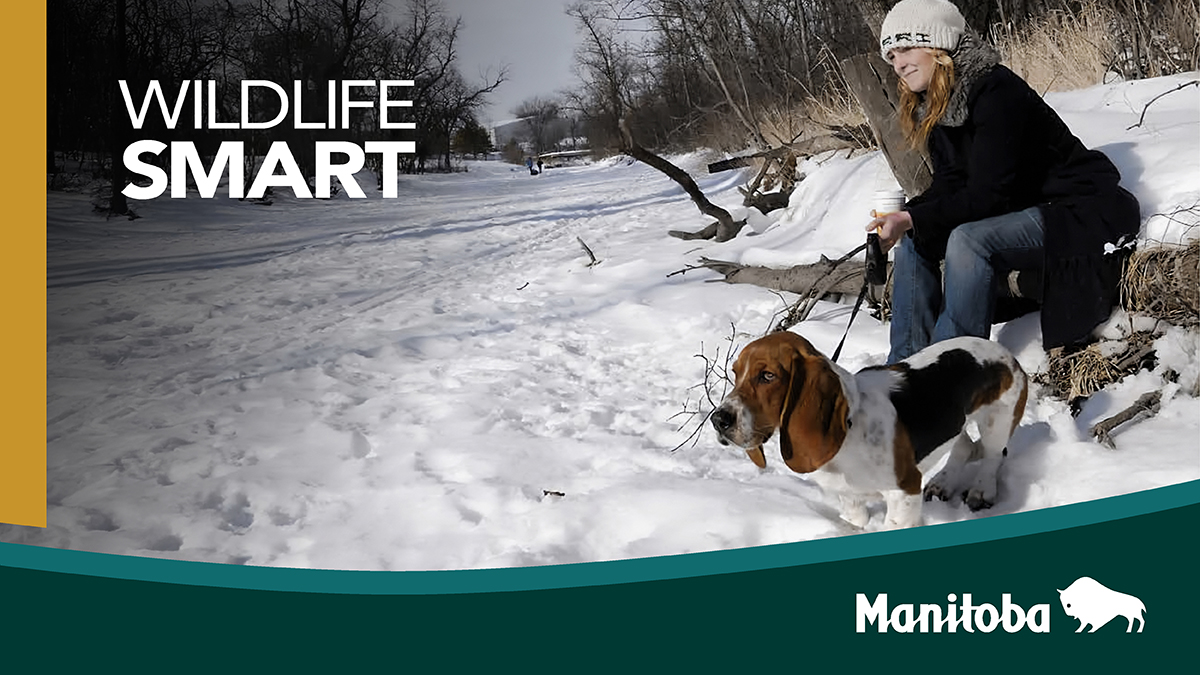 Manitoba Government tweet media