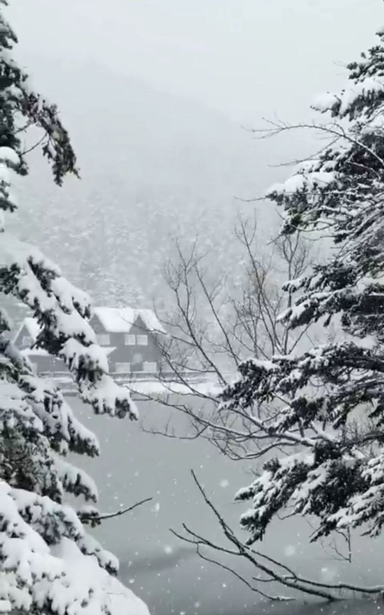 T.C.💙MKA💙 tweet media