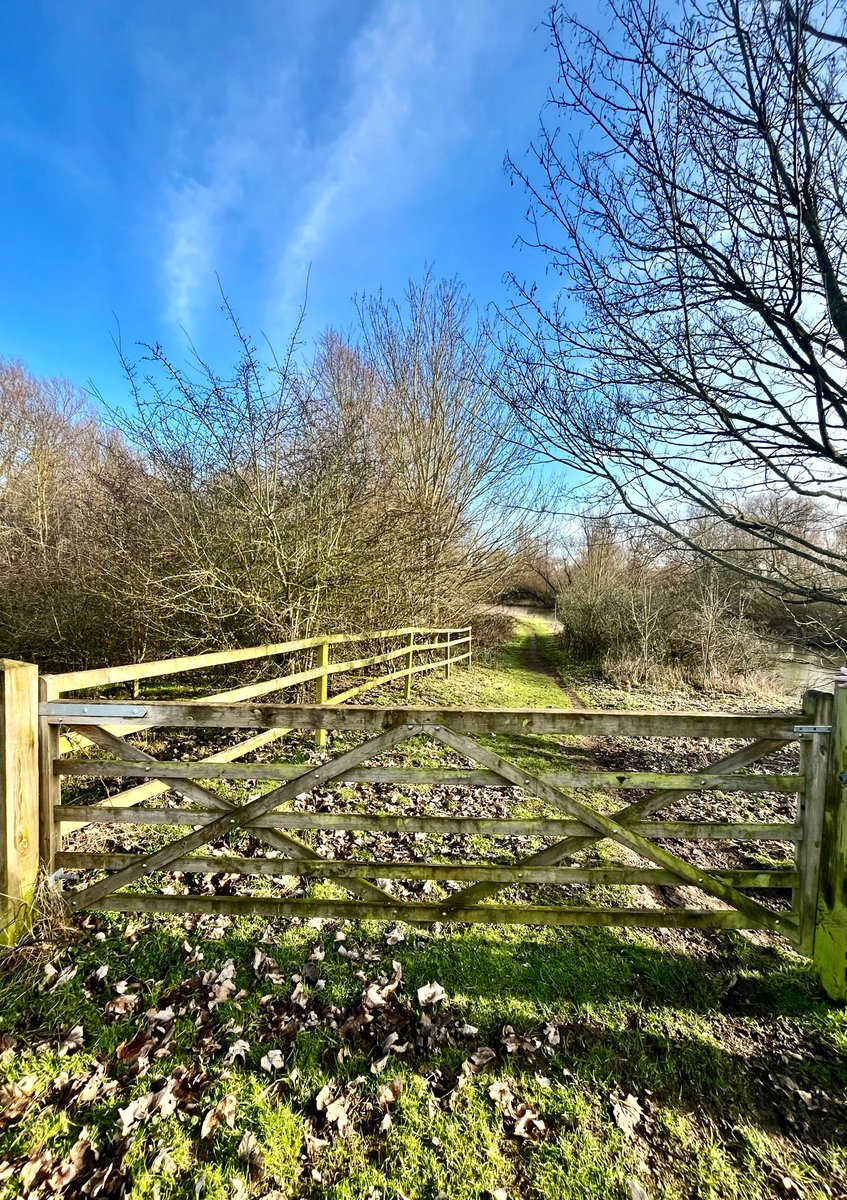 Sammy 🩷 tweet media