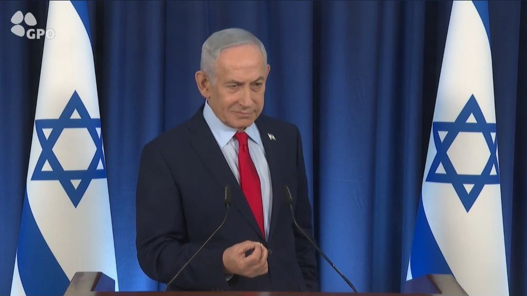 Chaya’s Clan tweet media