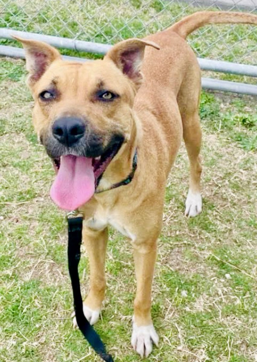 Cheryl Ramirez tweet media