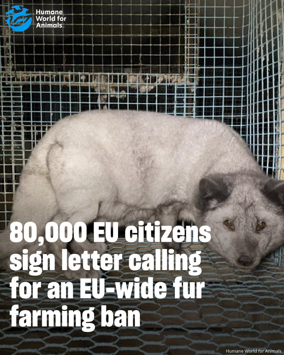 Humane World for Animals tweet media