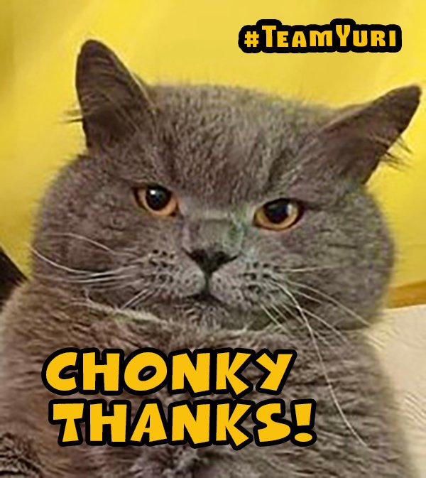 NinaNafo CrazyCatLadyFella tweet media