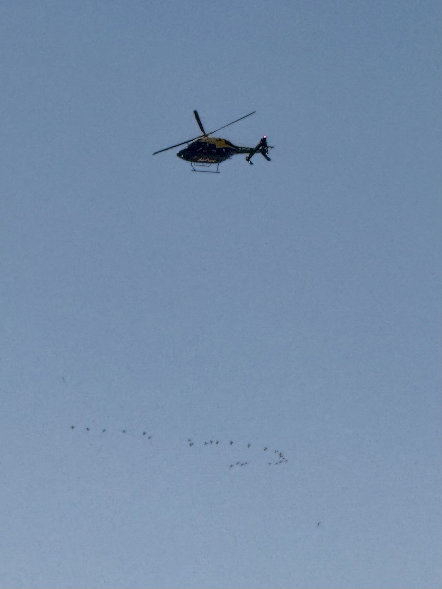 Ethan 🦣 tweet media