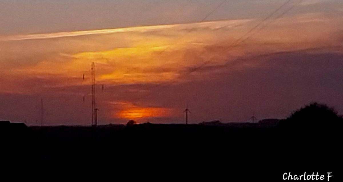 Charlotte tweet media