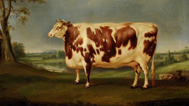 😺😸⚫️🔴🌕 tweet media