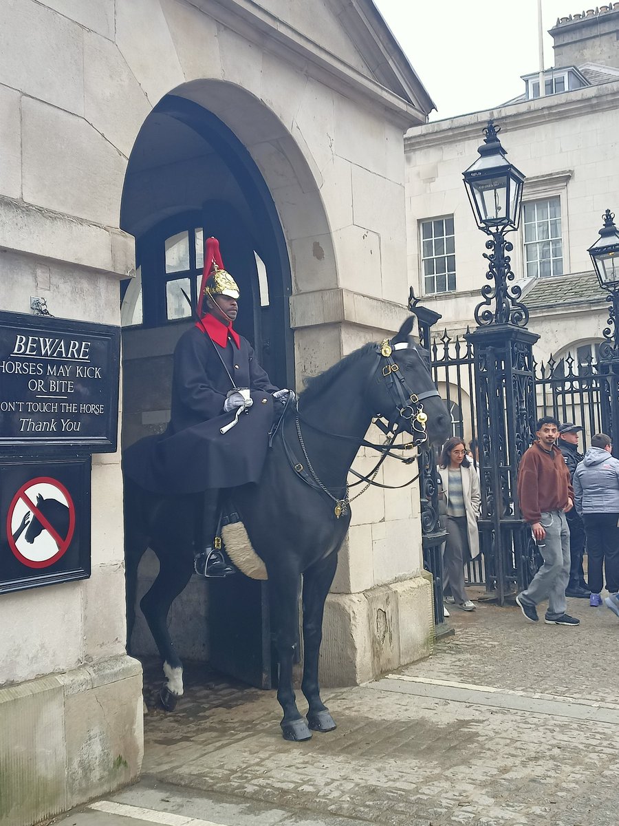 CEO Boecillo (oficial) tweet media