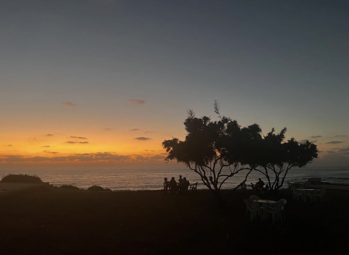 Farah-Silvana Kanaan tweet media