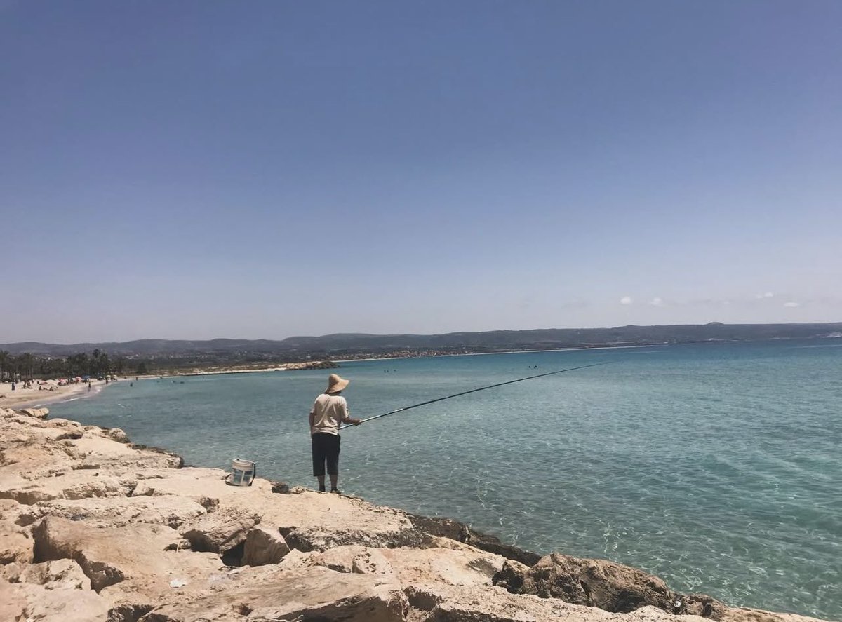 Farah-Silvana Kanaan tweet media