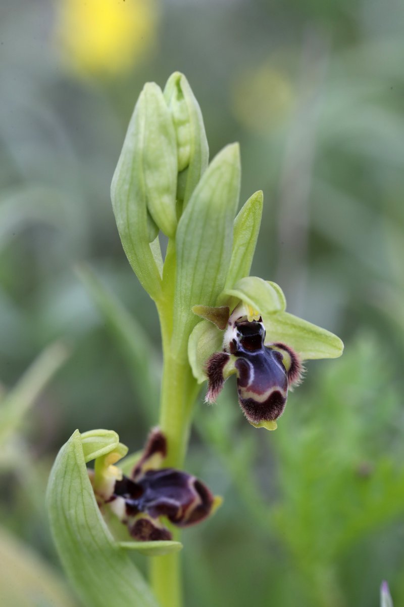 Jon Dunn 🇺🇦 tweet media