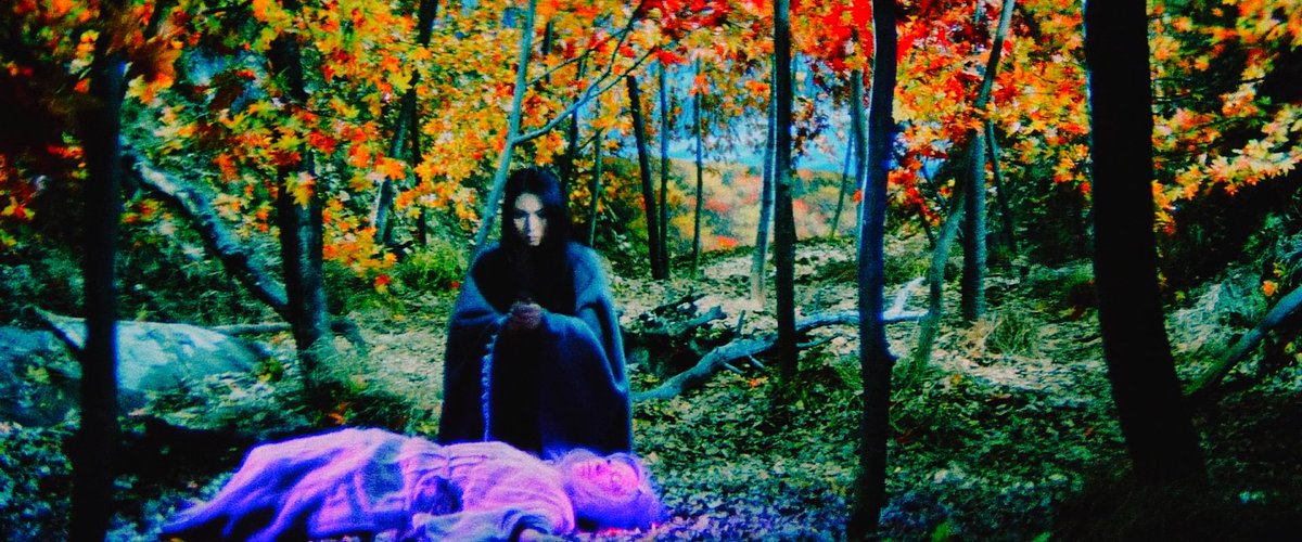 Peter Pucker tweet media