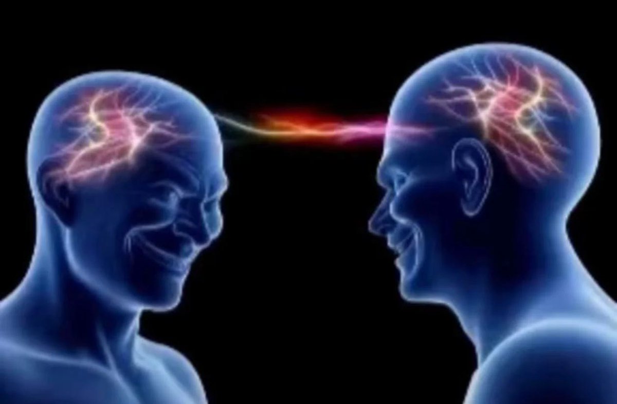 米莉拉瓦莱丽_unofficial tweet media