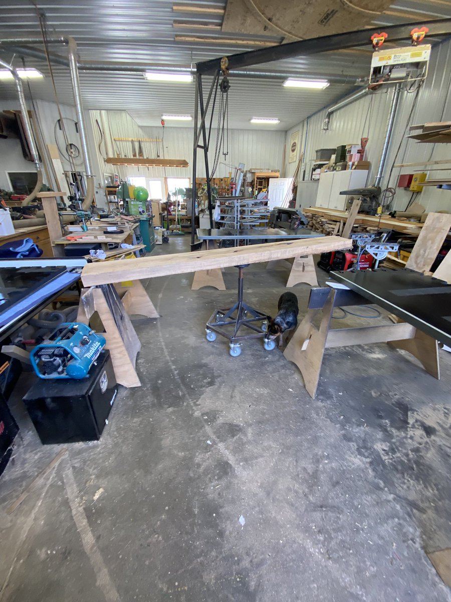 Nigel Best tweet media