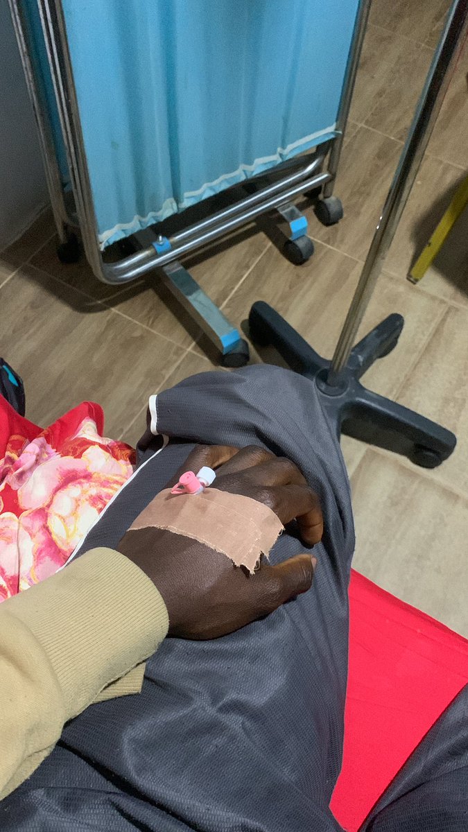 Calabrimbor tweet media