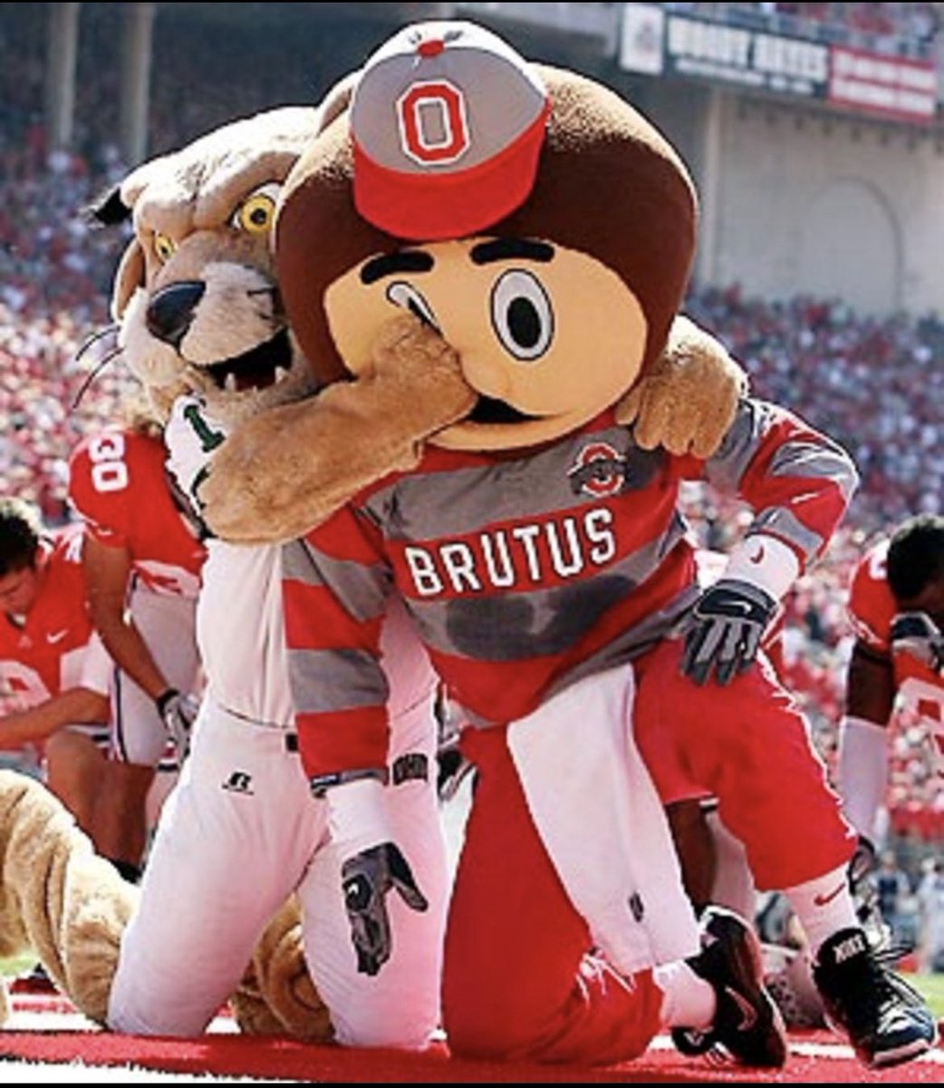 Rafa Hernández-Brito tweet media