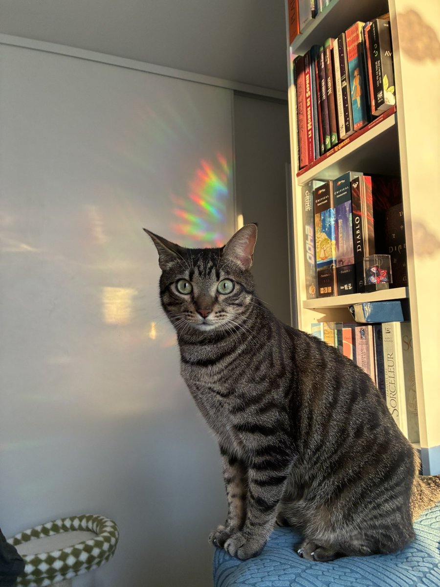 Mélina 🍁 tweet media