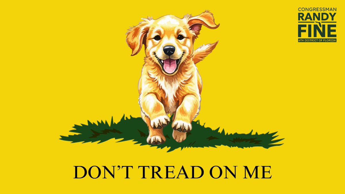 Rep. Jason Fischer tweet media