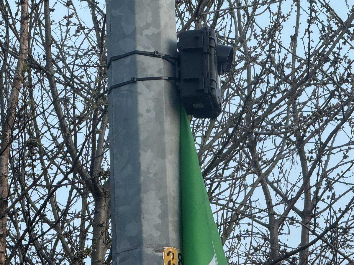 Fionan_garbh tweet media