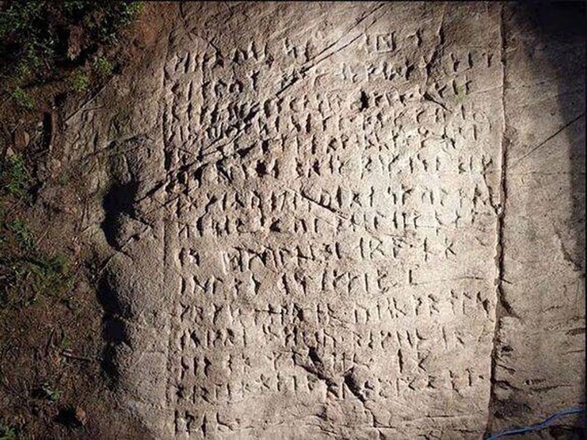 Trad West tweet media