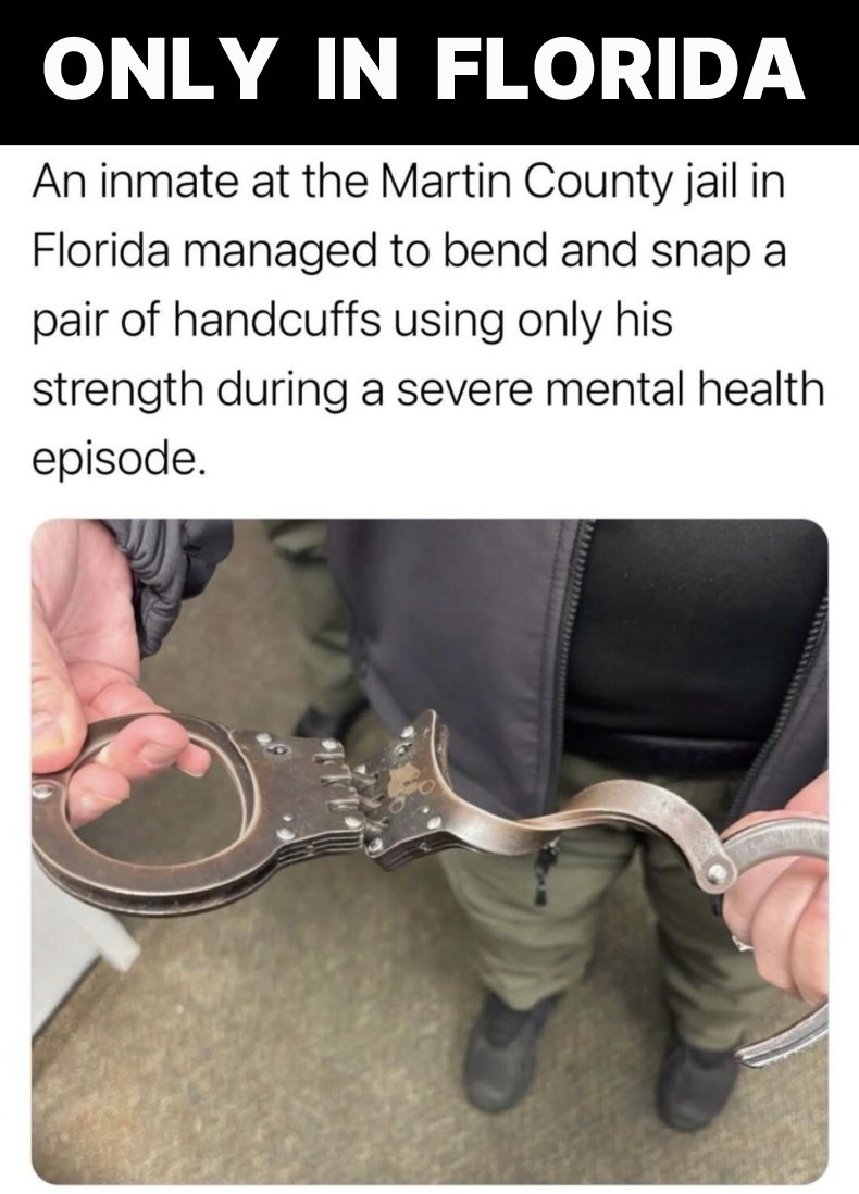 Men's Humor tweet media