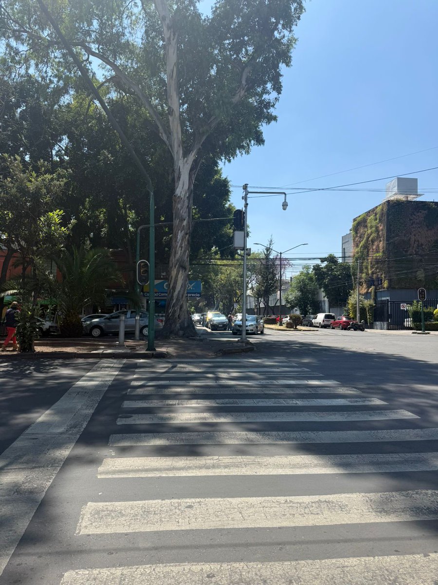 Centro Informativo CDMX tweet media