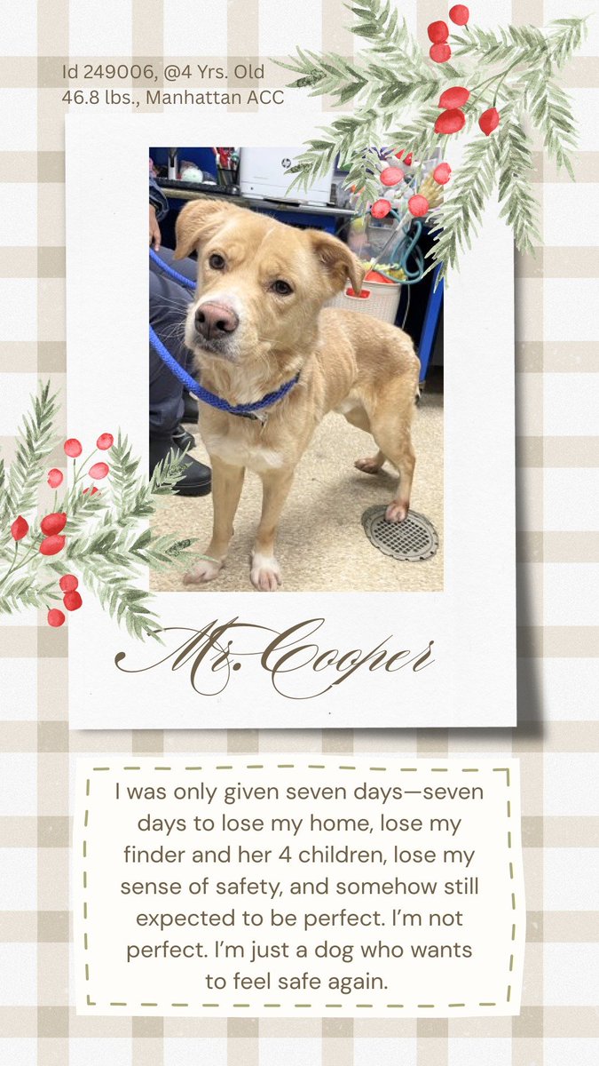 Not the Same tweet media