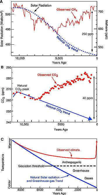 BeSteveL 🐝 tweet media