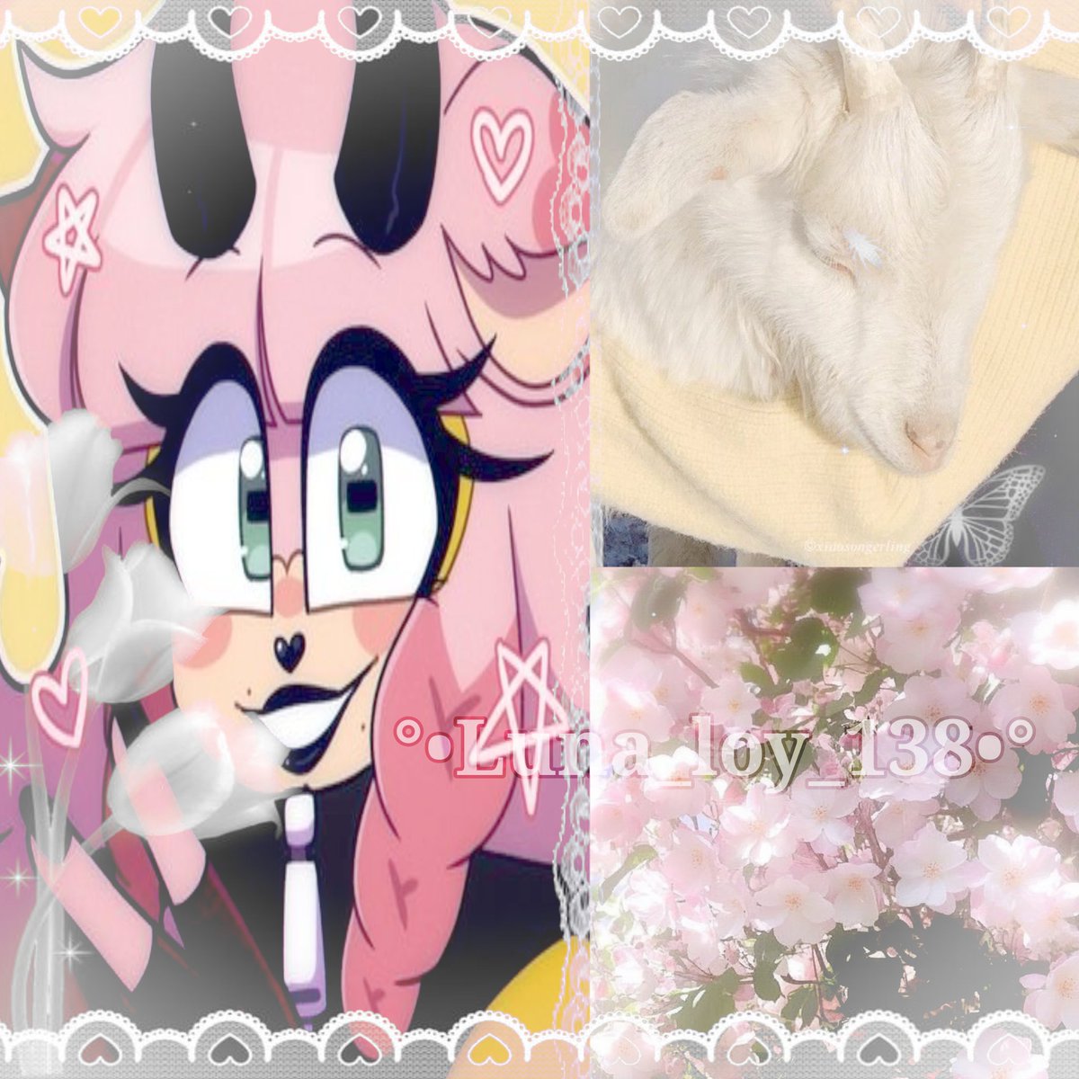 ⋆.🍇˚🪻༘⋆𐔌 . ⋮ ꪶꪊꪀꪖ🌙 .ᐟ ֹ ₊ ꒱ tweet media