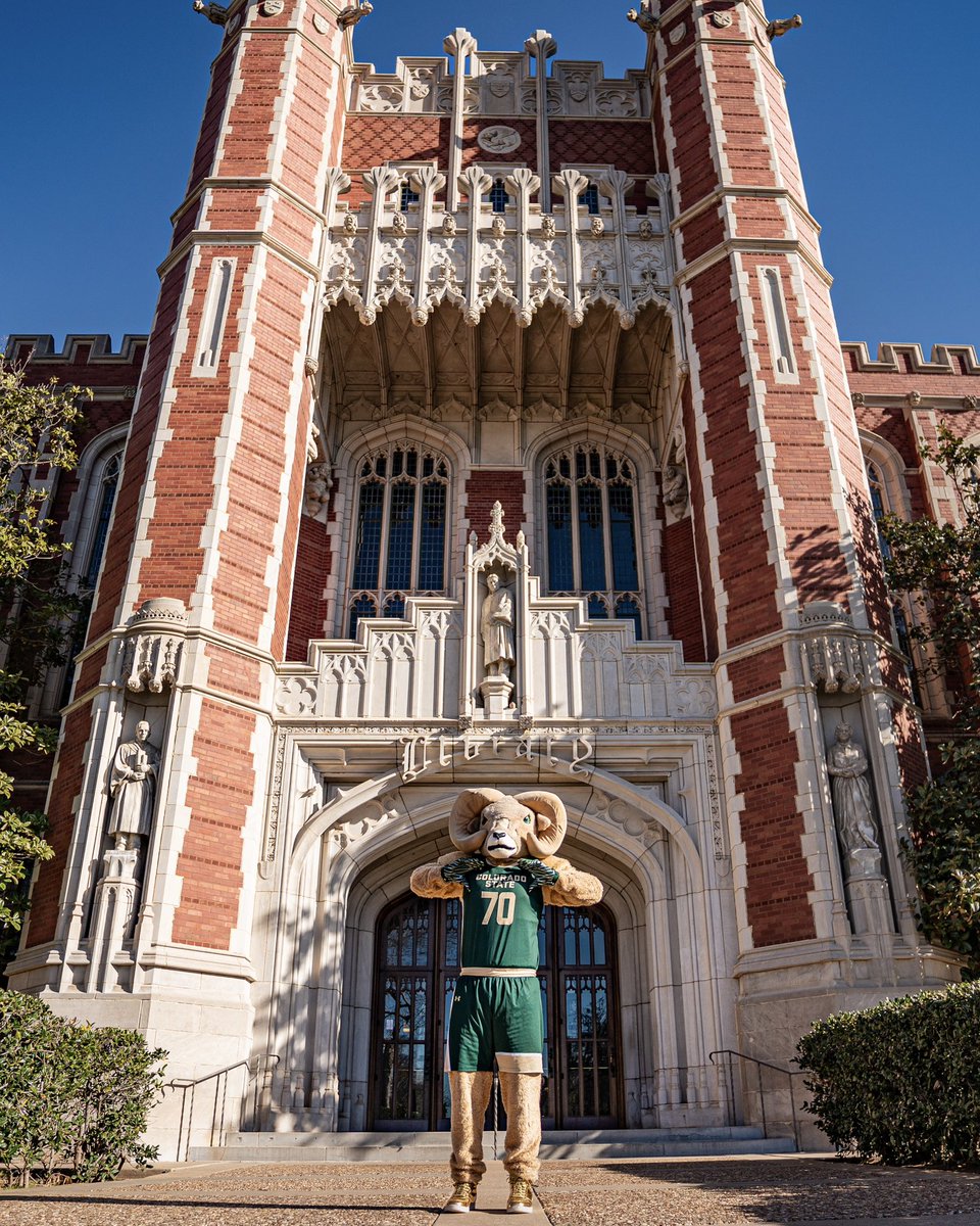 Colorado State Rams 🐏 tweet media