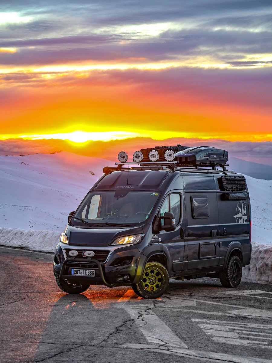 Offrotie tweet media